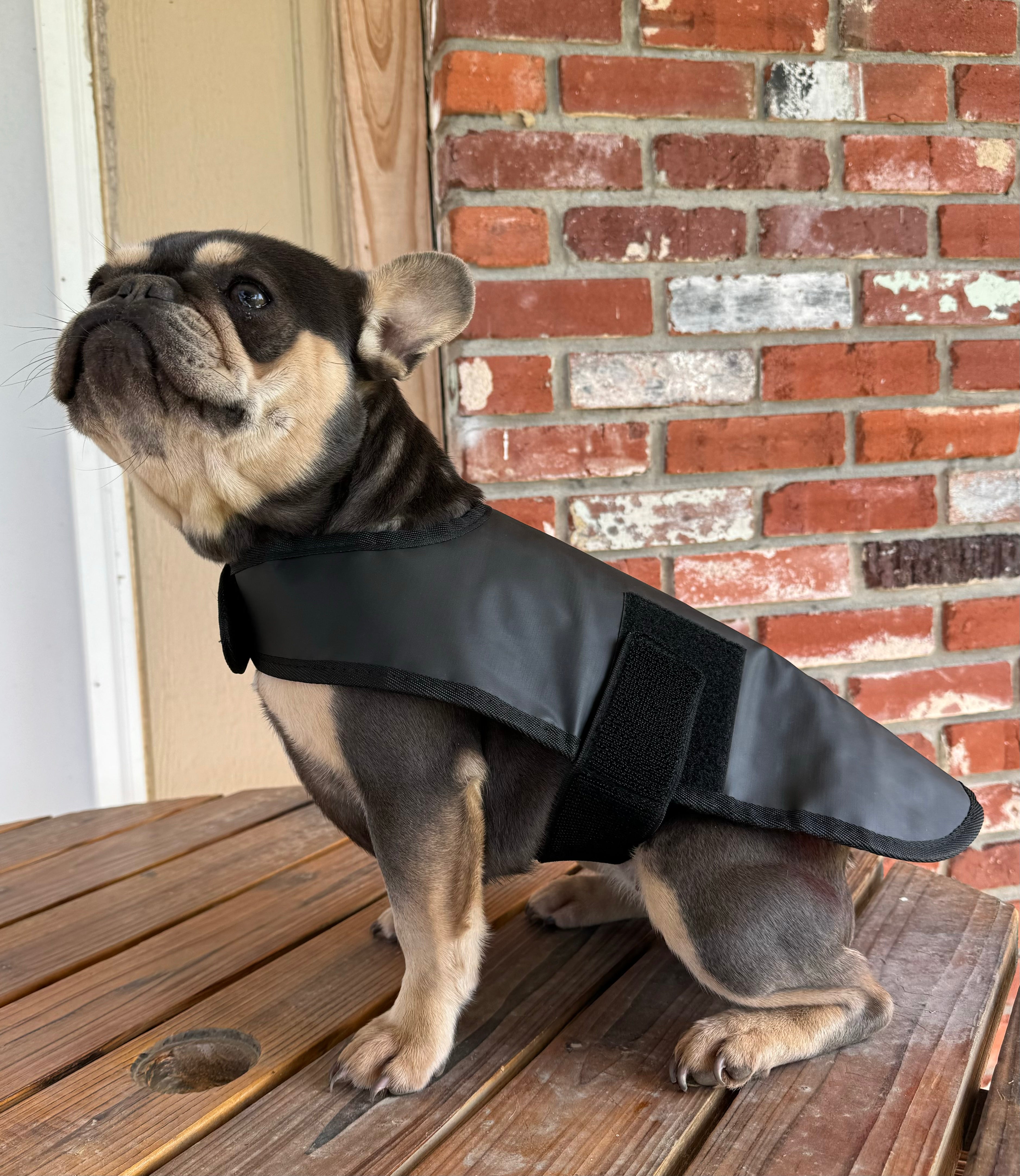 Large companion Red Light Therapy Wrap